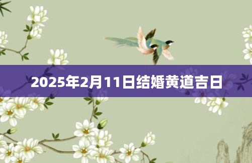 2025年2月11日结婚黄道吉日