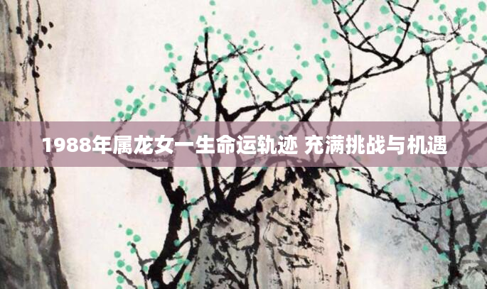 1988年属龙女一生命运轨迹 充满挑战与机遇