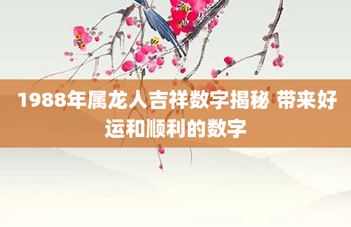 1988年属龙人吉祥数字揭秘 带来好运和顺利的数字