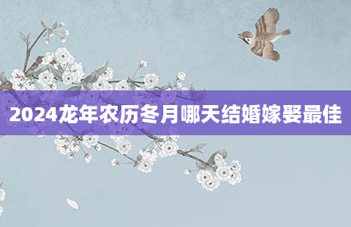 2024龙年农历冬月哪天结婚嫁娶最佳