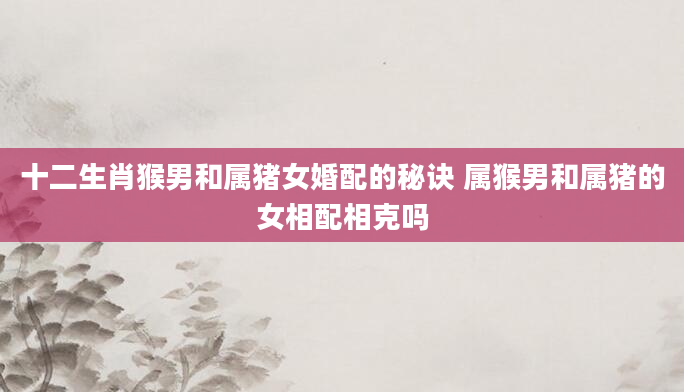 十二生肖猴男和属猪女婚配的秘诀 属猴男和属猪的女相配相克吗