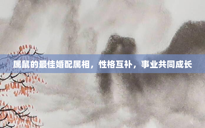 属鼠的最佳婚配属相，性格互补，事业共同成长