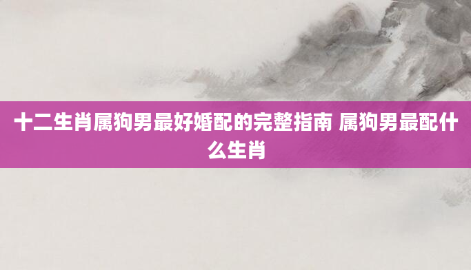 十二生肖属狗男最好婚配的完整指南 属狗男最配什么生肖