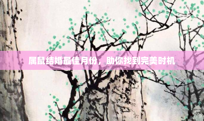 属鼠结婚最佳月份，助你找到完美时机