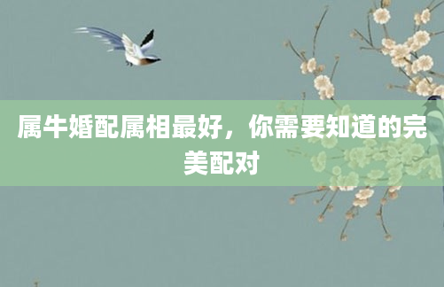 属牛婚配属相最好，你需要知道的完美配对