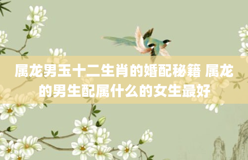 属龙男玉十二生肖的婚配秘籍 属龙的男生配属什么的女生最好
