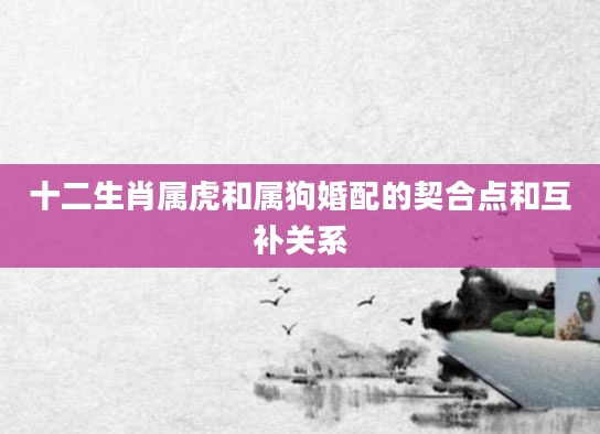 十二生肖属虎和属狗婚配的契合点和互补关系