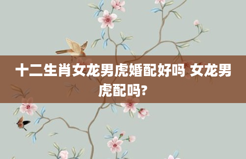 十二生肖女龙男虎婚配好吗 女龙男虎配吗?