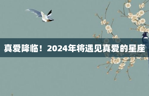 真爱降临！2024年将遇见真爱的星座