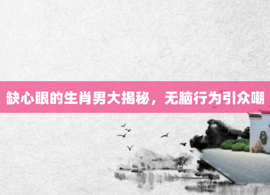 缺心眼的生肖男大揭秘，无脑行为引众嘲