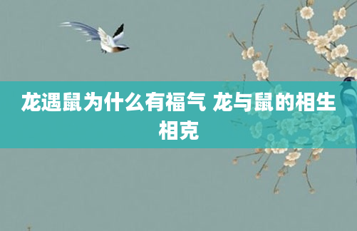 龙遇鼠为什么有福气 龙与鼠的相生相克