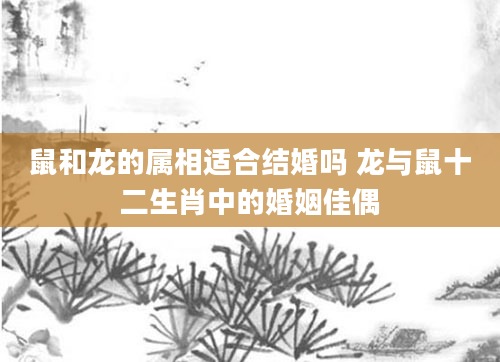 鼠和龙的属相适合结婚吗 龙与鼠十二生肖中的婚姻佳偶