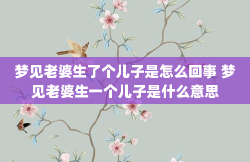 梦见老婆生了个儿子是怎么回事 梦见老婆生一个儿子是什么意思