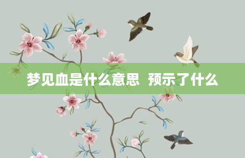 梦见血是什么意思  预示了什么