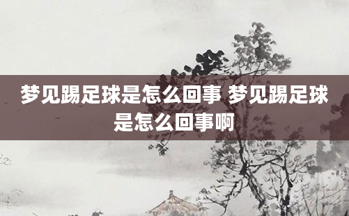 梦见踢足球是怎么回事 梦见踢足球是怎么回事啊