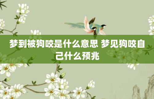 梦到被狗咬是什么意思 梦见狗咬自己什么预兆