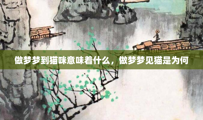 做梦梦到猫咪意味着什么，做梦梦见猫是为何