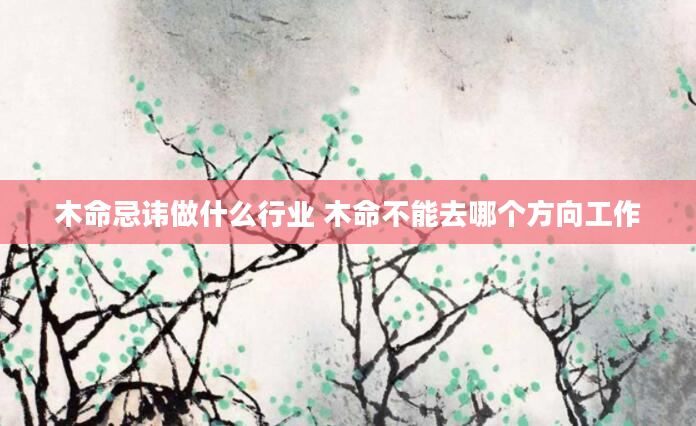 木命忌讳做什么行业 木命不能去哪个方向工作