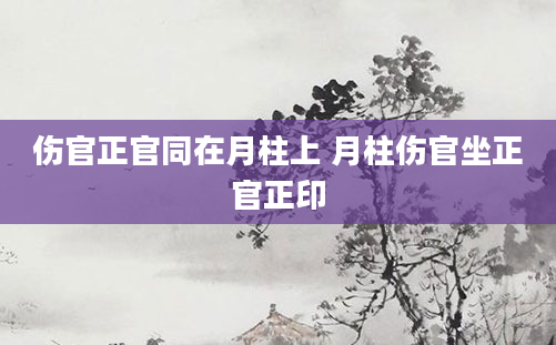 伤官正官同在月柱上 月柱伤官坐正官正印