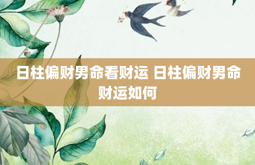 日柱偏财男命看财运 日柱偏财男命财运如何