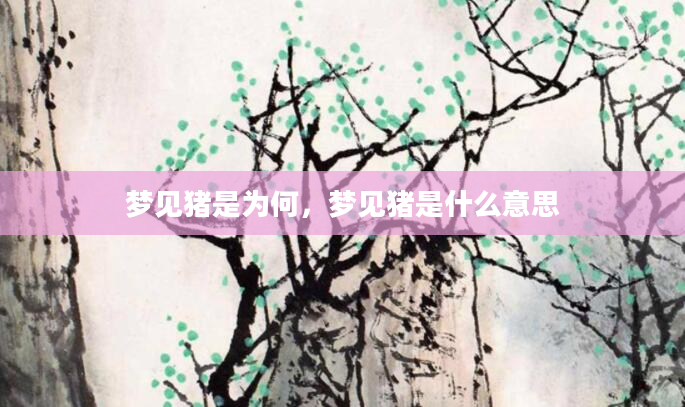 梦见猪是为何，梦见猪是什么意思