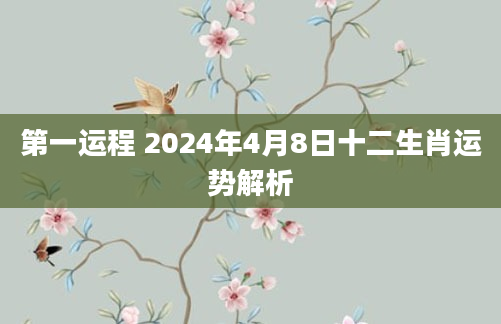 第一运程 2024年4月8日十二生肖运势解析
