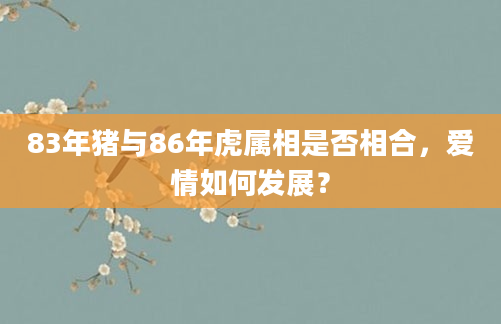 83年猪与86年虎属相是否相合，爱情如何发展？