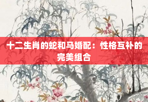 十二生肖的蛇和马婚配：性格互补的完美组合
