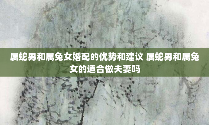属蛇男和属兔女婚配的优势和建议 属蛇男和属兔女的适合做夫妻吗
