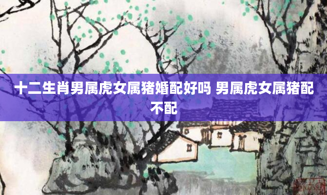 十二生肖男属虎女属猪婚配好吗 男属虎女属猪配不配