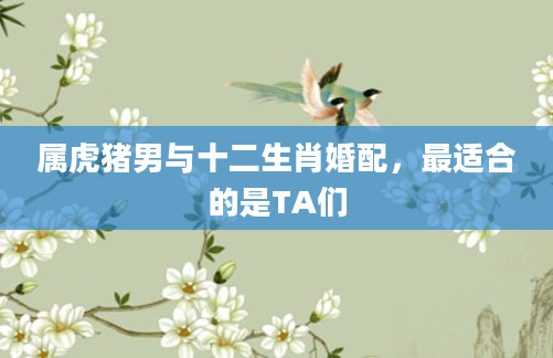 属虎猪男与十二生肖婚配，最适合的是TA们