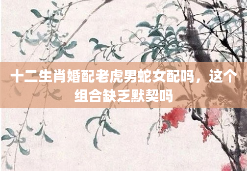 十二生肖婚配老虎男蛇女配吗，这个组合缺乏默契吗