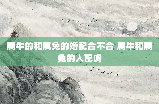 属牛的和属兔的婚配合不合 属牛和属兔的人配吗