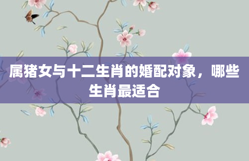 属猪女与十二生肖的婚配对象，哪些生肖最适合