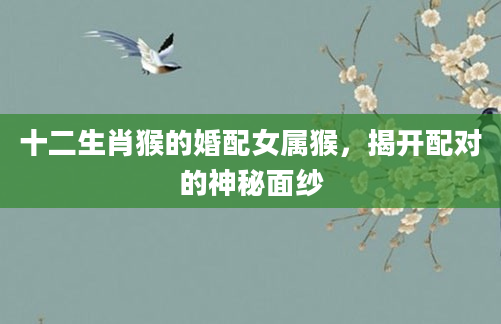 十二生肖猴的婚配女属猴，揭开配对的神秘面纱