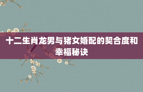 十二生肖龙男与猪女婚配的契合度和幸福秘诀