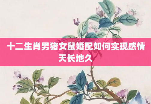 十二生肖男猪女鼠婚配如何实现感情天长地久