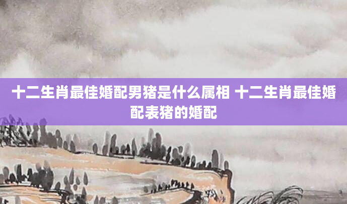 十二生肖最佳婚配男猪是什么属相 十二生肖最佳婚配表猪的婚配