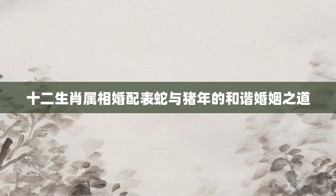 十二生肖属相婚配表蛇与猪年的和谐婚姻之道