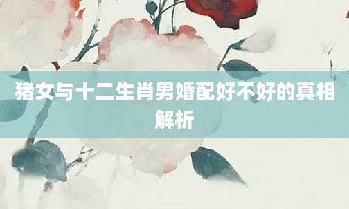 猪女与十二生肖男婚配好不好的真相解析