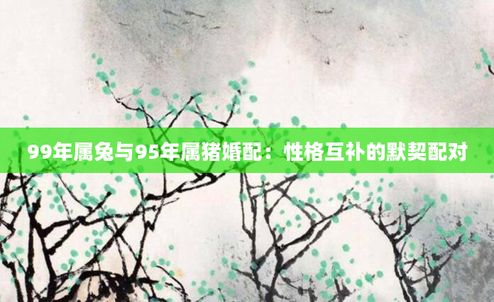 99年属兔与95年属猪婚配：性格互补的默契配对