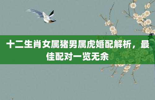 十二生肖女属猪男属虎婚配解析，最佳配对一览无余