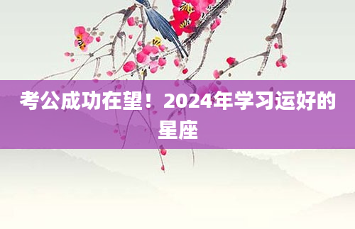 考公成功在望！2024年学习运好的星座