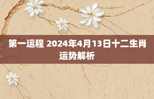 第一运程 2024年4月13日十二生肖运势解析