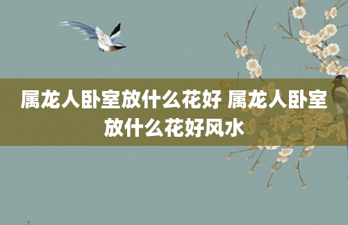 属龙人卧室放什么花好 属龙人卧室放什么花好风水