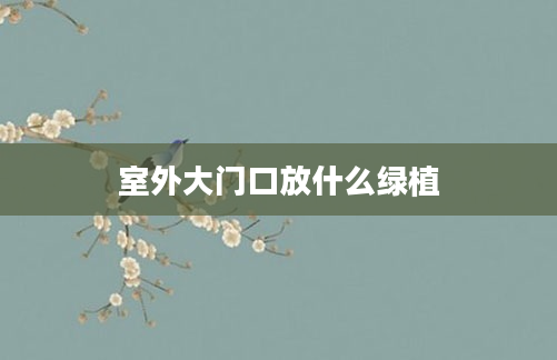 室外大门口放什么绿植