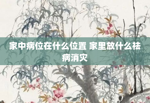 家中病位在什么位置 家里放什么祛病消灾