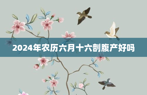 2024年农历六月十六剖腹产好吗