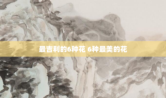 最吉利的6种花 6种最美的花