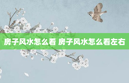 房子风水怎么看 房子风水怎么看左右